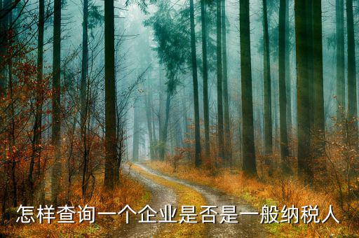 遼寧如何查一般納稅人，怎樣查詢一個企業是否是一般納稅人