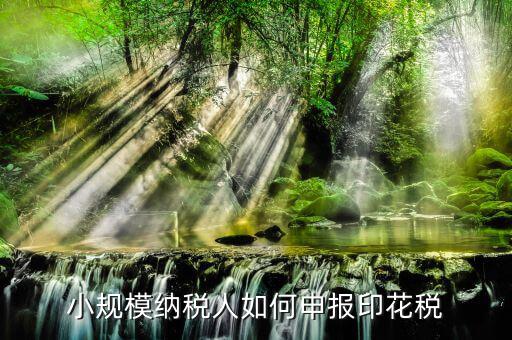 小規模納稅人如何申報印花稅