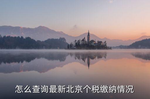 北京市 欠稅人員如何查詢，稅務欠稅信息如何查詢