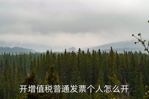 開增值稅普通發票個人怎么開