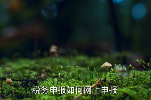 如何網上電子稅務申報系統，稅務申報如何網上申報