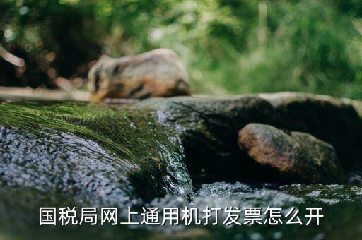 國稅局網上通用機打發票怎么開