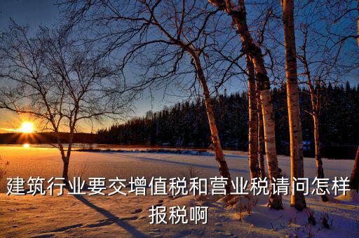 建筑行業要交增值稅和營業稅請問怎樣報稅啊