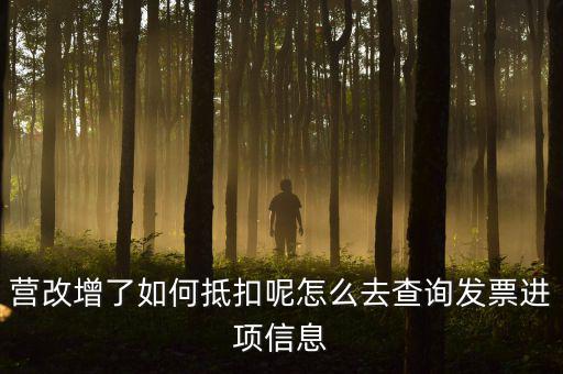 營改增了如何抵扣呢怎么去查詢發票進項信息