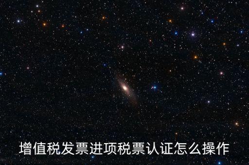 增值稅發票進項稅票認證怎么操作
