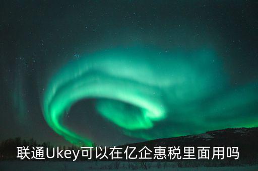 聯通Ukey可以在億企惠稅里面用嗎