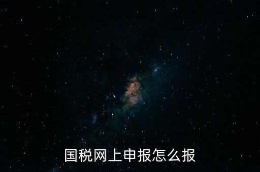 國稅網上申報怎么報