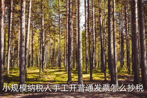 小規模納稅人手工開普通發票怎么抄稅