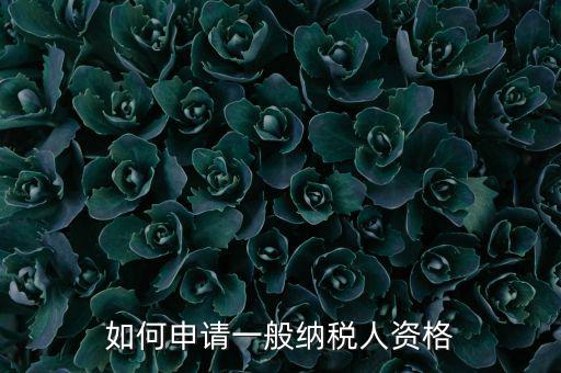 一般納稅人如何申請B級，一般納稅人B類企業如何申報企業所得稅