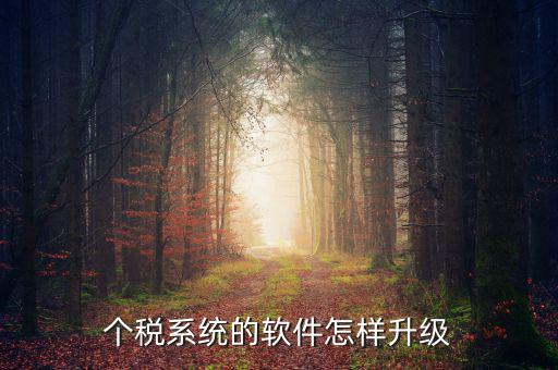 個稅系統的軟件怎樣升級