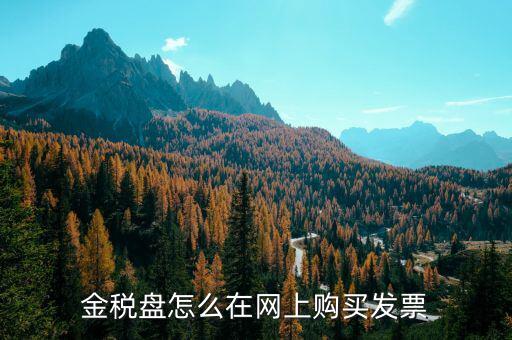 金稅盤如何網(wǎng)上購票，金稅盤領購發(fā)票的流程