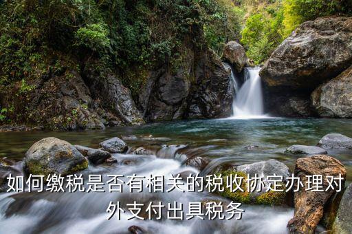 如何查詢是否有稅收協定，如何繳稅是否有相關的稅收協定辦理對外支付出具稅務