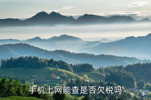 如何網上查是否有欠稅，稅務欠稅信息如何查詢