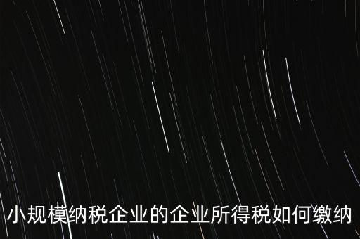 小規模納稅企業的企業所得稅如何繳納