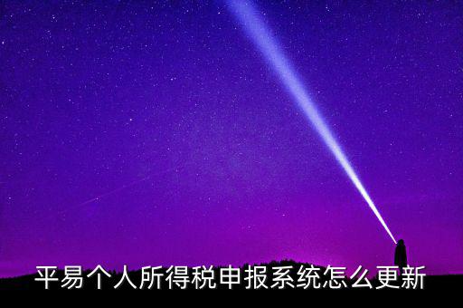 平易個人所得稅申報(bào)系統(tǒng)怎么更新