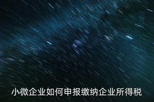 小企業如何繳納所得稅，小規模企業所得稅怎么交納