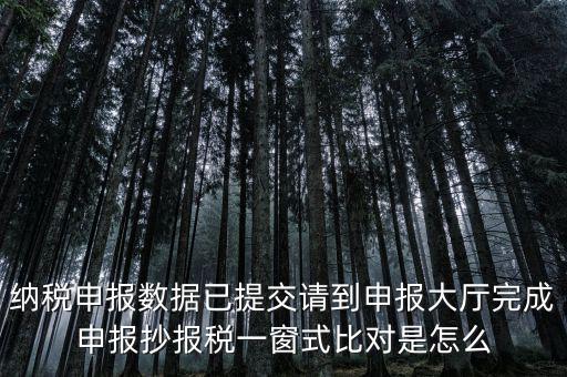 納稅申報數據已提交請到申報大廳完成申報抄報稅一窗式比對是怎么