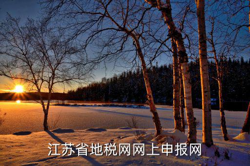 江蘇省地稅網網上申報網