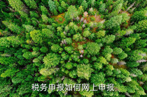 北京國稅地稅如何網上申報，稅務申報如何網上申報