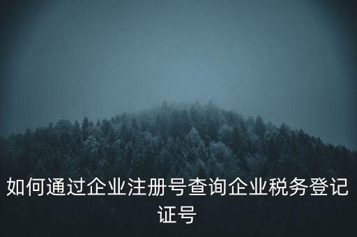 如何查詢公司稅務編號查詢系統，公司的稅務登記證號怎么查詢