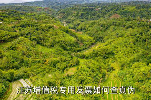 江蘇增值稅專用發票如何查真偽