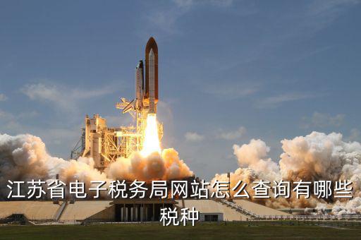 江蘇省電子稅務局網站怎么查詢有哪些稅種