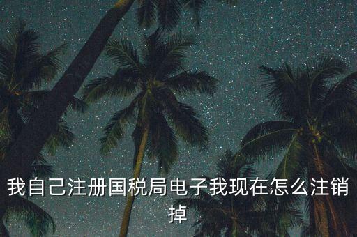 我自己注冊國稅局電子我現在怎么注銷掉