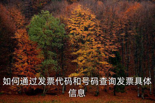 如何查詢發票詳細信息查詢，如何通過發票代碼和號碼查詢發票具體信息