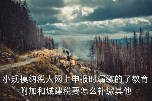 小規模納稅人網上申報時漏繳的了教育附加和城建稅要怎么補繳其他