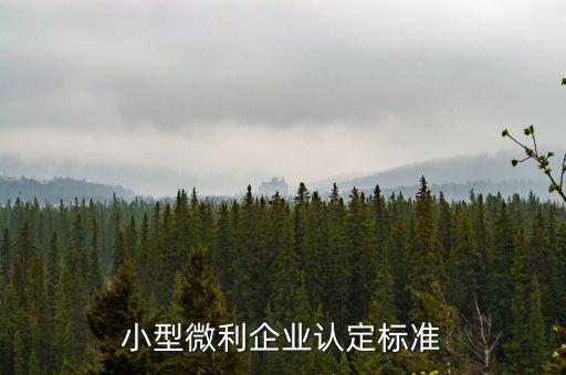如何確定是小微企業，小型微利企業認定標準