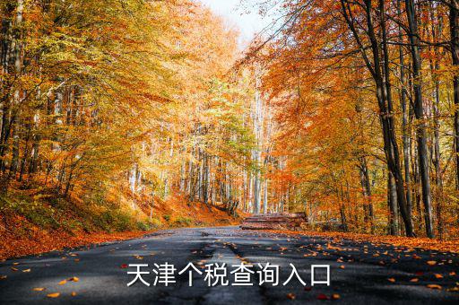 天津個(gè)稅如何查詢(xún)密碼，天津個(gè)稅查詢(xún)?nèi)肟?/></a></span><span id=