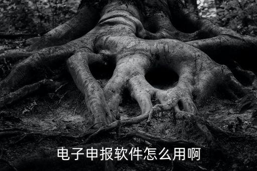 濟南電子稅務如何使用，網上辦稅平臺手機app怎么操作