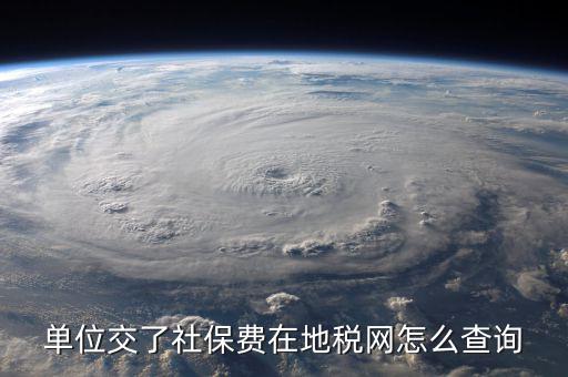 單位交了社保費在地稅網怎么查詢