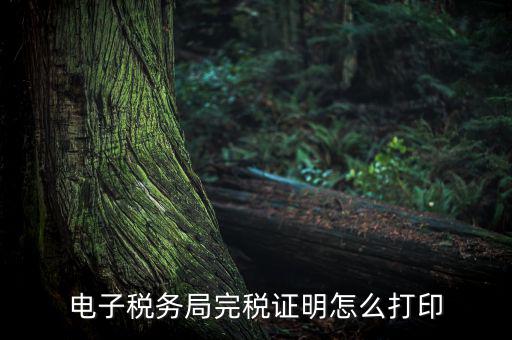 電子稅務局完稅證明怎么打印