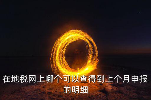 在地稅網上哪個可以查得到上個月申報的明細