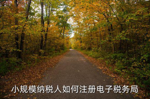 小規模納稅人如何注冊電子稅務局