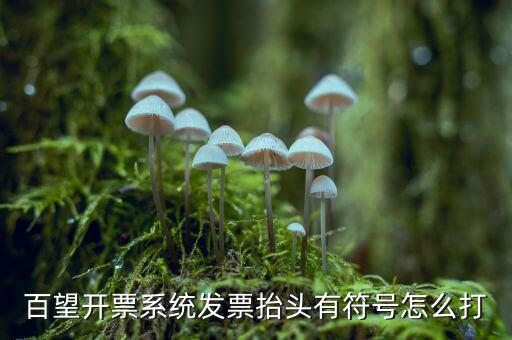 百望開票系統發票抬頭有符號怎么打
