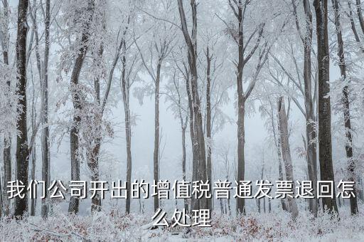 我們公司開出的增值稅普通發票退回怎么處理