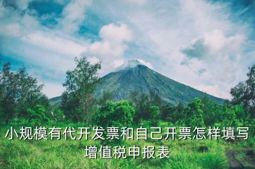 小規模有代開發票和自己開票怎樣填寫增值稅申報表