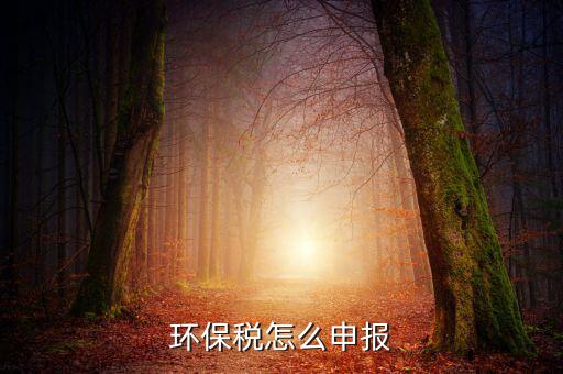 環境保護稅b類如何申報表，環保稅申報步驟是什么