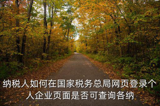 納稅人如何在國家稅務總局網頁登錄個人企業頁面是否可查詢各納