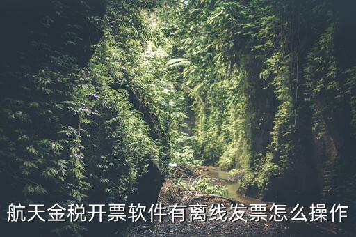 如何設置離線開票，金稅系統開票機怎樣恢復離線時限