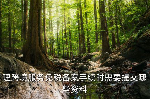 理跨境服務免稅備案手續時需要提交哪些資料