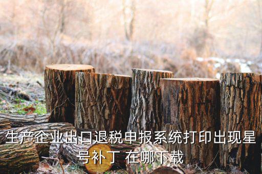 生產企業出口退稅申報系統打印出現星號補丁 在哪下載