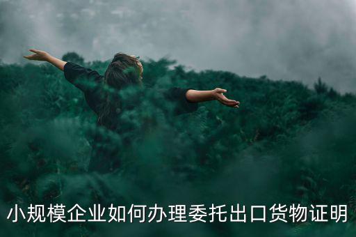 小規模企業如何辦理委托出口貨物證明