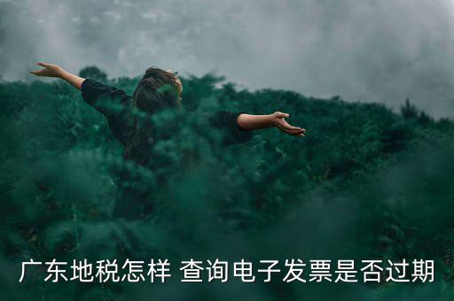 如何查詢電子發(fā)票是否有效，廣東地稅怎樣 查詢電子發(fā)票是否過期