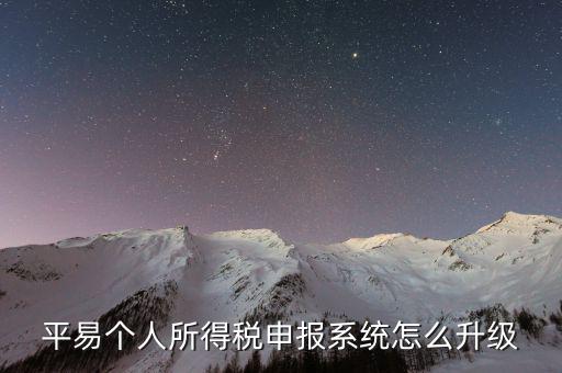 平易個人所得稅申報(bào)系統(tǒng)怎么升級