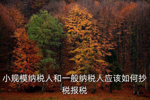 小規模納稅人和一般納稅人應該如何抄稅報稅