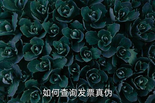 如何查詢發票真偽