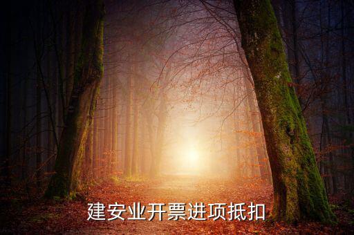 建安業開票進項抵扣